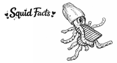 Valentines 2026 Squid Facts Doodle